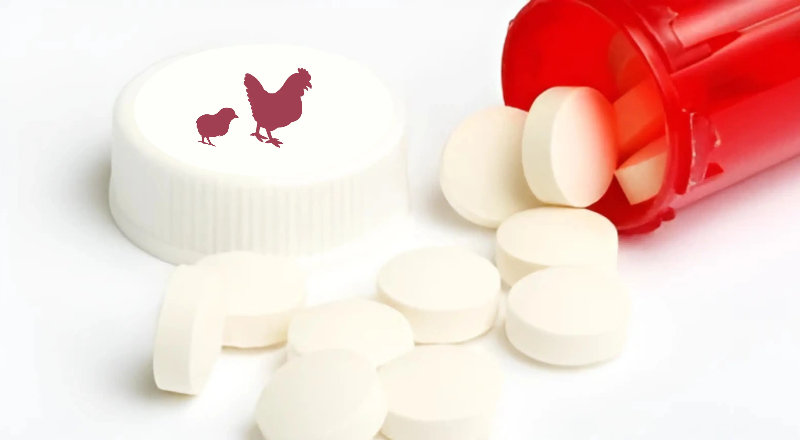 Poultry medicine