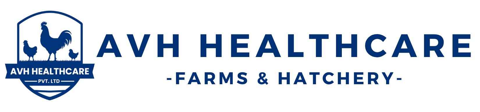 AVH Healthcare